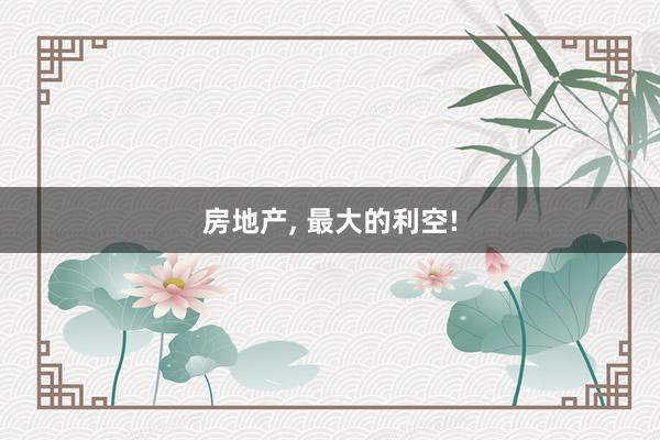 房地产, 最大的利空!