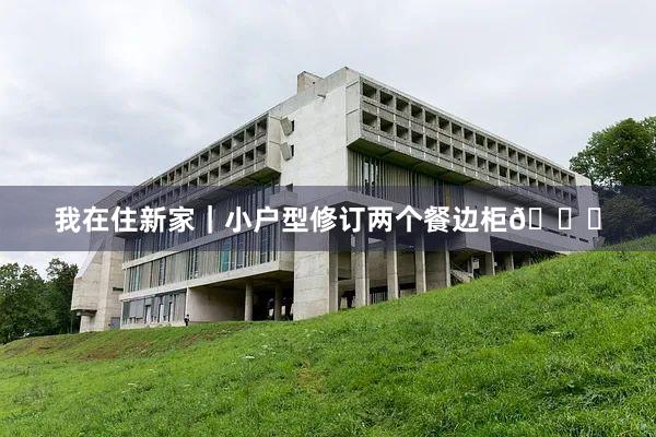 我在住新家|小户型修订两个餐边柜😄