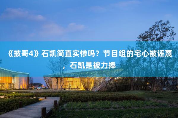 《披哥4》石凯简直实惨吗？节目组的宅心被诬蔑，石凯是被力捧