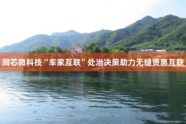 润芯微科技“车家互联”处治决策助力无缝贤惠互联