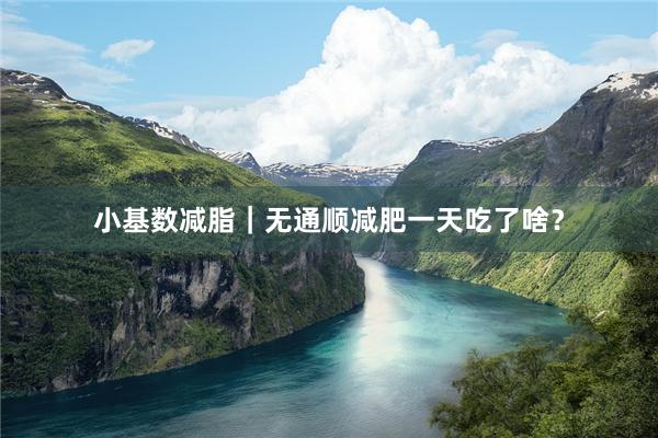 小基数减脂｜无通顺减肥一天吃了啥？
